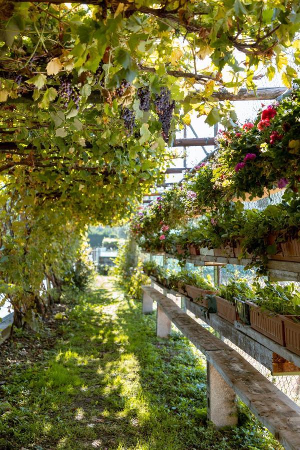 La Quiete Park Hotel Manerba del Garda Eksteriør billede
